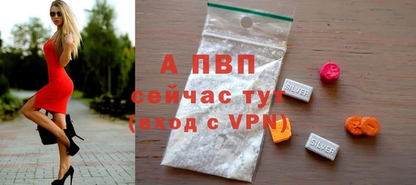 дмт Абаза