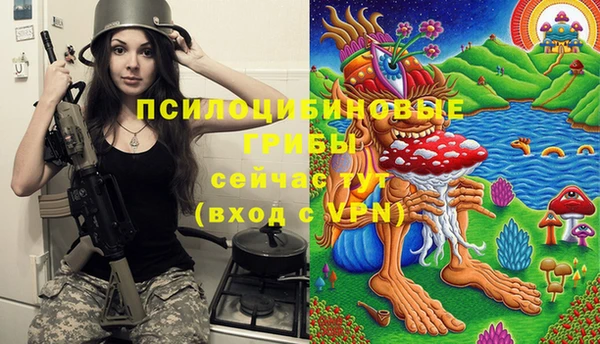 мяу мяу мука Алексин