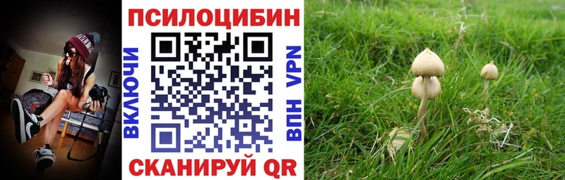 Галлюциногенные грибы мицелий ссылка на мегу сайт Алзамай